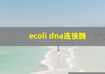 ecoli dna连接酶